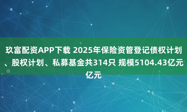 玖富配资APP下载 2025年保险资管登记债权计划、股权计划、私募基金共314只 规模5104.43亿元