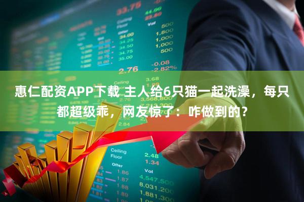 惠仁配资APP下载 主人给6只猫一起洗澡，每只都超级乖，网友惊了：咋做到的？
